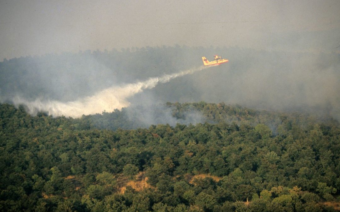 La Sardegna brucia: 20mila ettari distrutti dalle fiamme e circa 1.500 sfollati