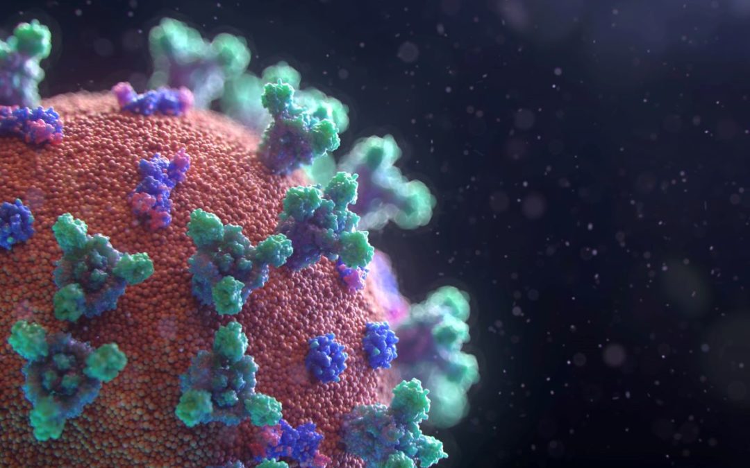 Coronavirus: tornano a crescere i nuovi casi
