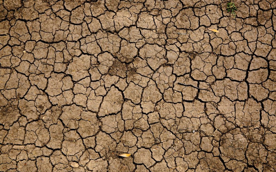 Regioni ad un passo dallo stato d’emergenza a causa della siccità