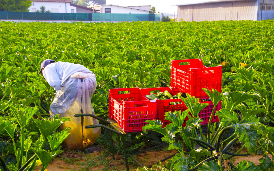 FONDITALIA – Lavori in corso