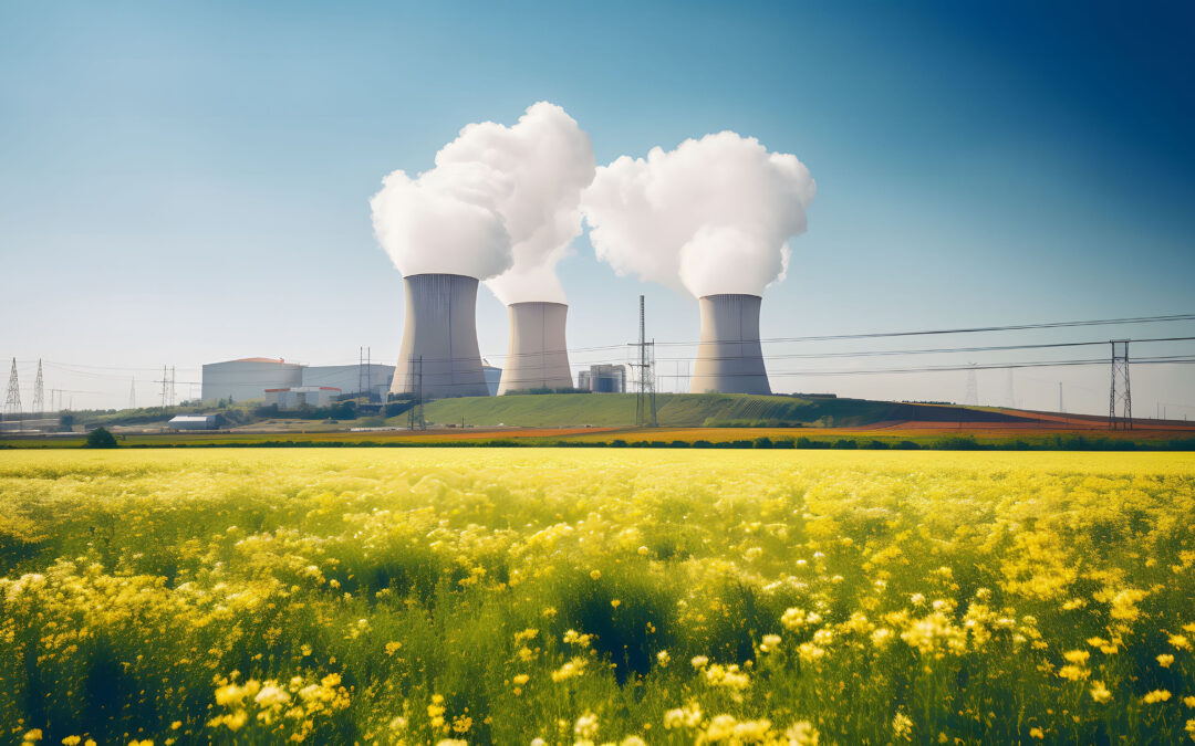 NUCLEARE – La sostenibilità