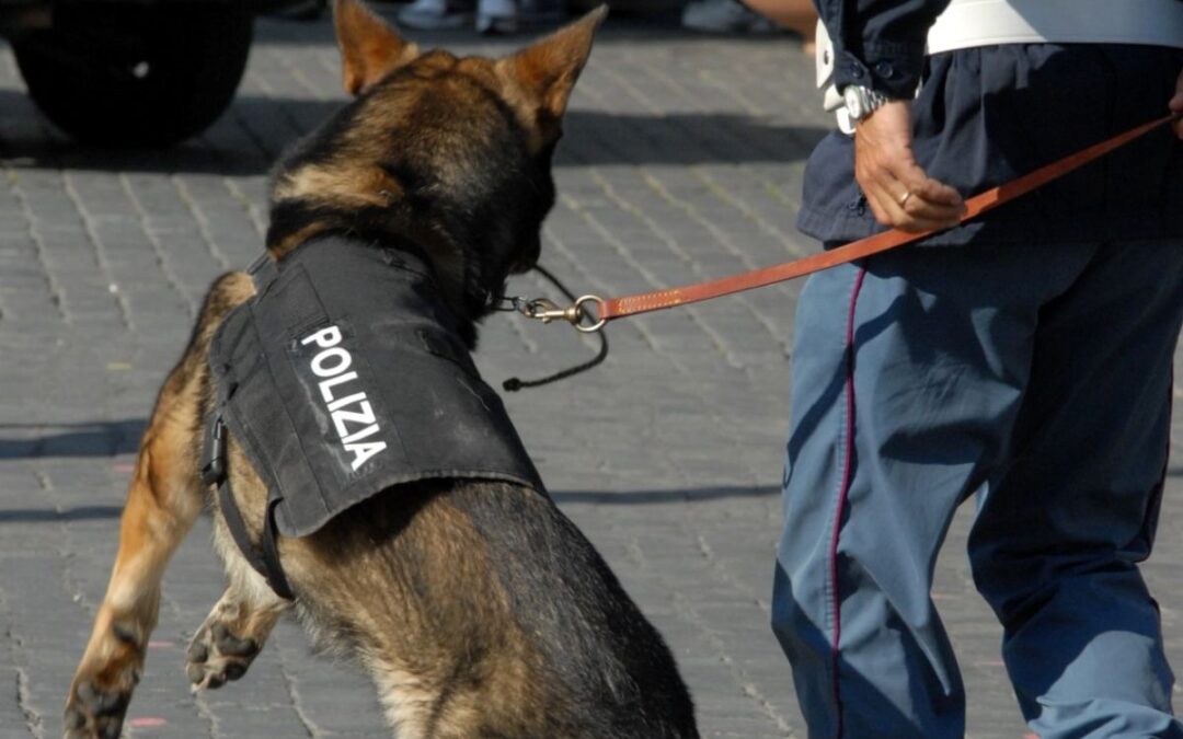 Cocaina nel camion, arrestato trasportatore a Bologna