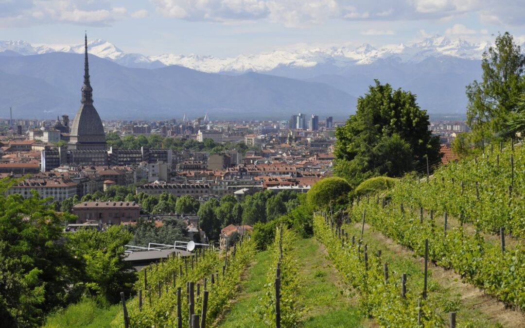 Torino, trovato cadavere fatto a pezzi e nascosto in bagno