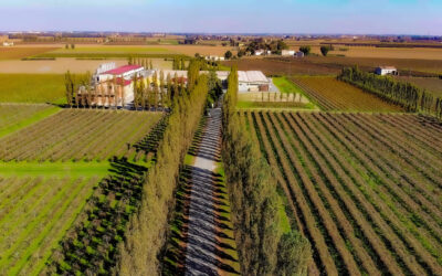 FONDITALIA – Imprese medie